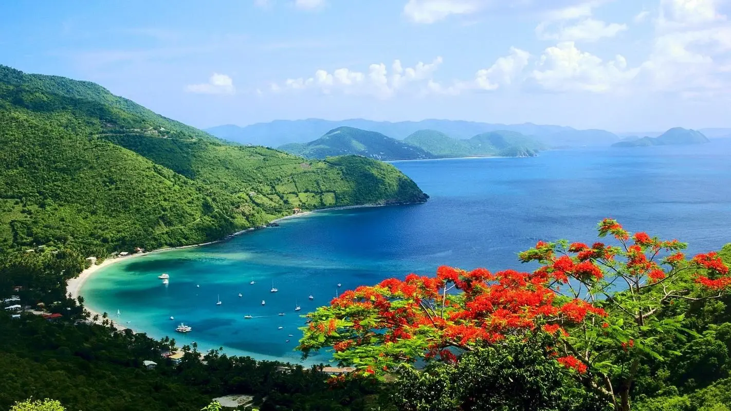 高端高效智能系统
